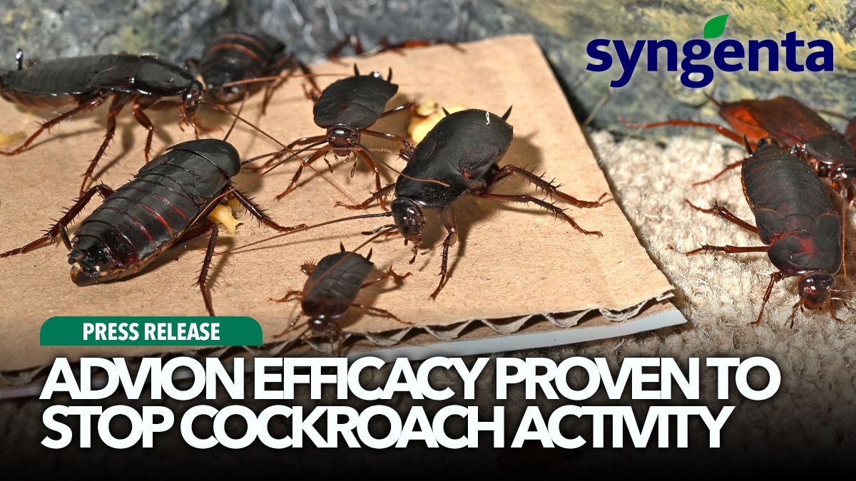 advion-efficacy-proven-to-stop-cockroach-activity-hero